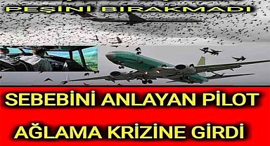 Kuşlar Uçağın Peşini Bırakmadı! Nedenini Anlayan Pilot Ağlama Krizine Girdi