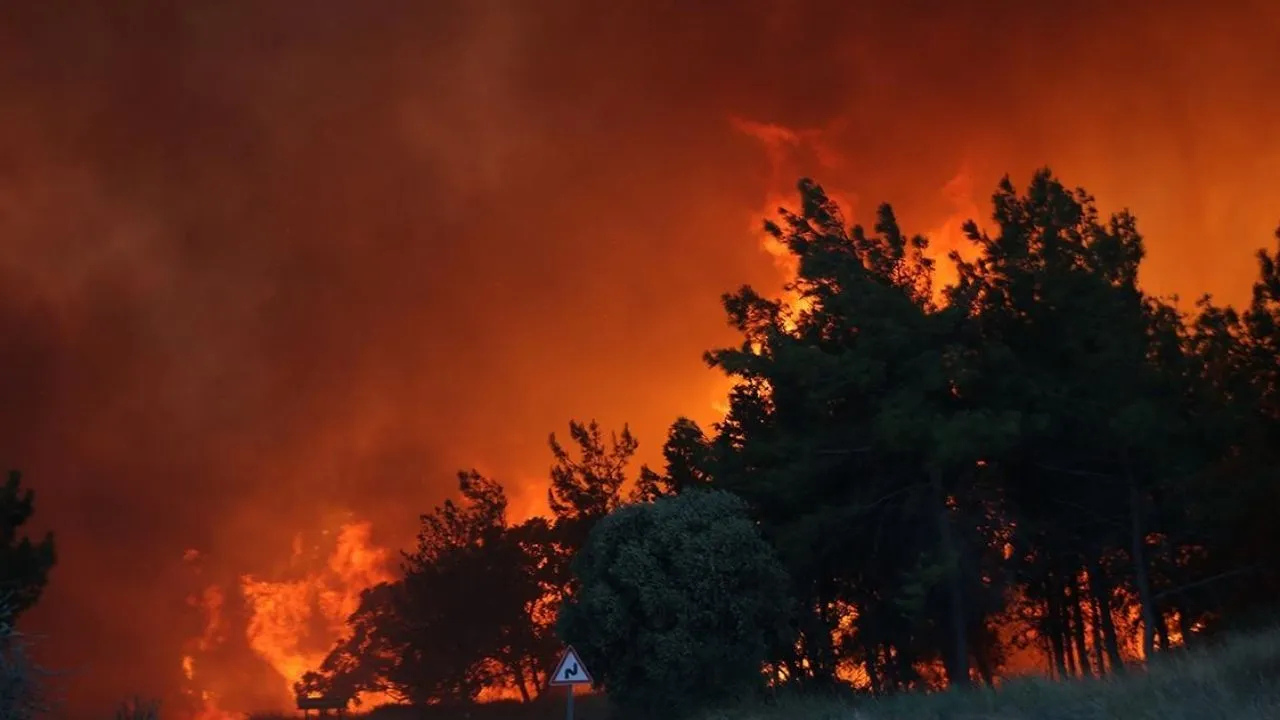 Orman yangınlarında ihmalkarlık