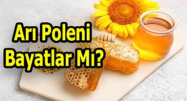 Arı Poleni Bayatlar Mı?