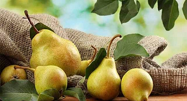 Armut Buzlukta Nasıl Saklanır?